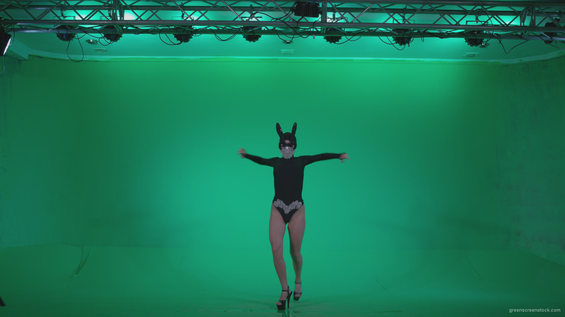Go-go-Dancer-Black-Rabbit-u12-Green-Screen-Video-Footage_004 Green Screen Stock