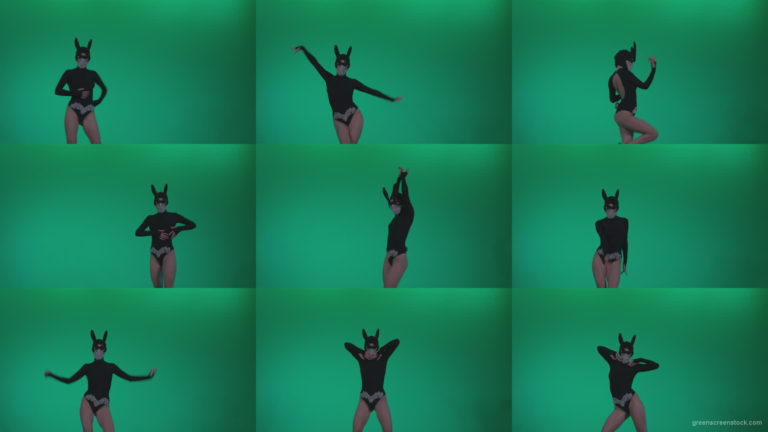 Go-go-Dancer-Black-Rabbit-u13-Green-Screen-Video-Footage Green Screen Stock