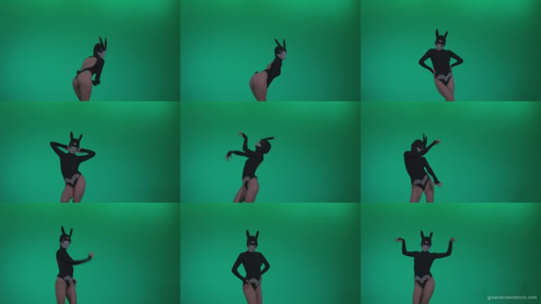 Go-go-Dancer-Black-Rabbit-u14-Green-Screen-Video-Footage Green Screen Stock