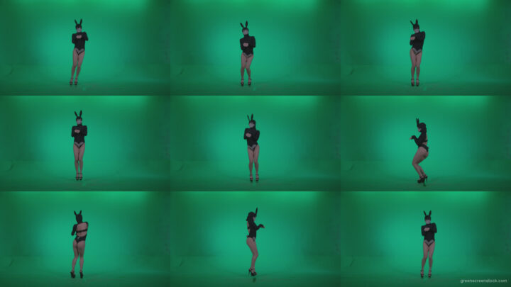 Go-go-Dancer-Black-Rabbit-u6-Green-Screen-Video-Footage Green Screen Stock