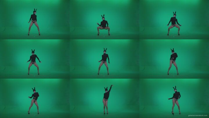 Go-go-Dancer-Black-Rabbit-u9-Green-Screen-Video-Footage Green Screen Stock