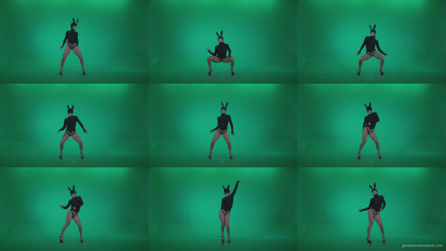 Go-go-Dancer-Black-Rabbit-u9-Green-Screen-Video-Footage Green Screen Stock