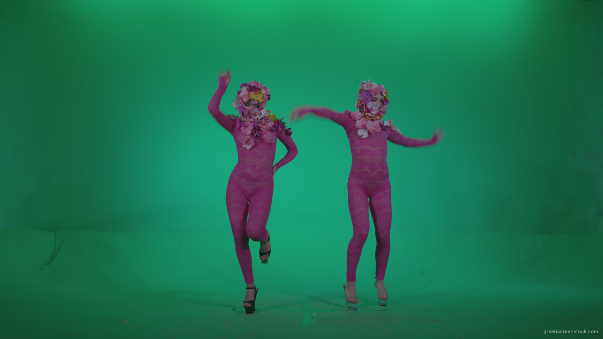 Go-go-Dancer-Pink-flowers-f2-Green-Screen-Video-Footage_002 Green Screen Stock