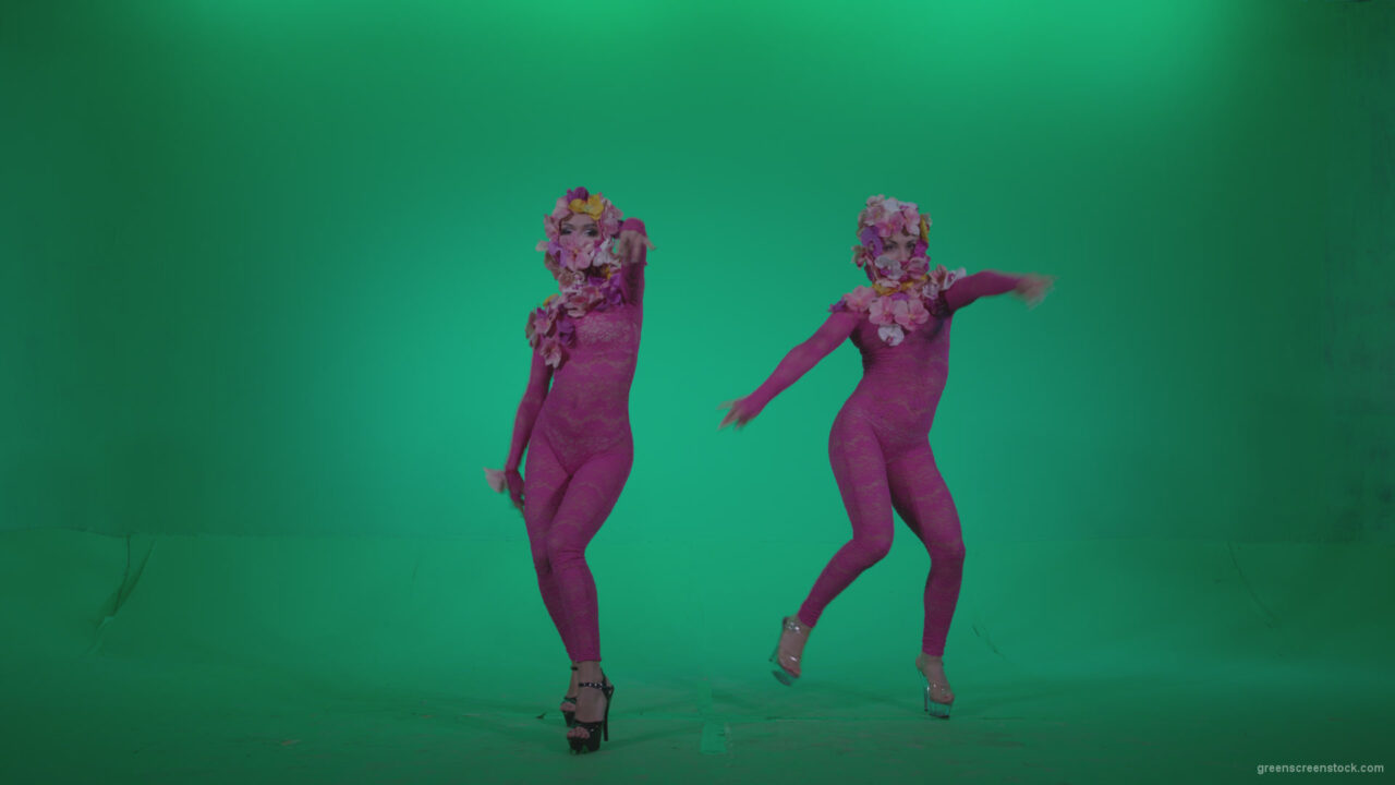 vj video background Go-go-Dancer-Pink-flowers-f2-Green-Screen-Video-Footage_003