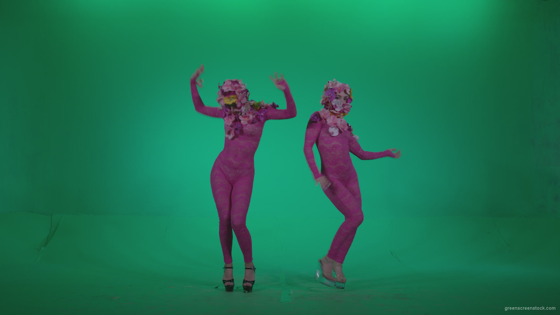 Go-go-Dancer-Pink-flowers-f2-Green-Screen-Video-Footage_007 Green Screen Stock
