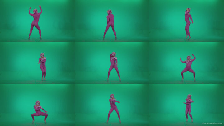 Go-go-Dancer-Pink-flowers-f6-Green-Screen-Video-Footage Green Screen Stock