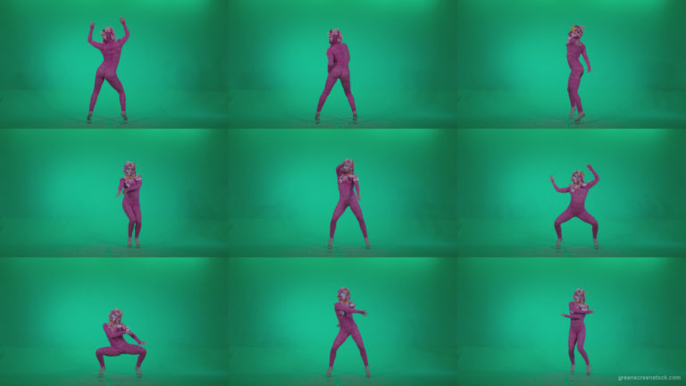 Go-go-Dancer-Pink-flowers-f6-Green-Screen-Video-Footage Green Screen Stock
