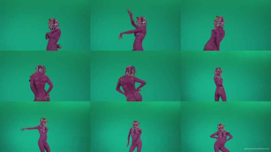 Go-go-Dancer-Pink-flowers-f8-Green-Screen-Video-Footage Green Screen Stock