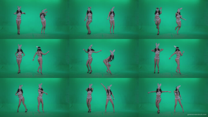 Go-go-Dancer-White-Rabbit-m1-Green-Screen-Video-Footage Green Screen Stock