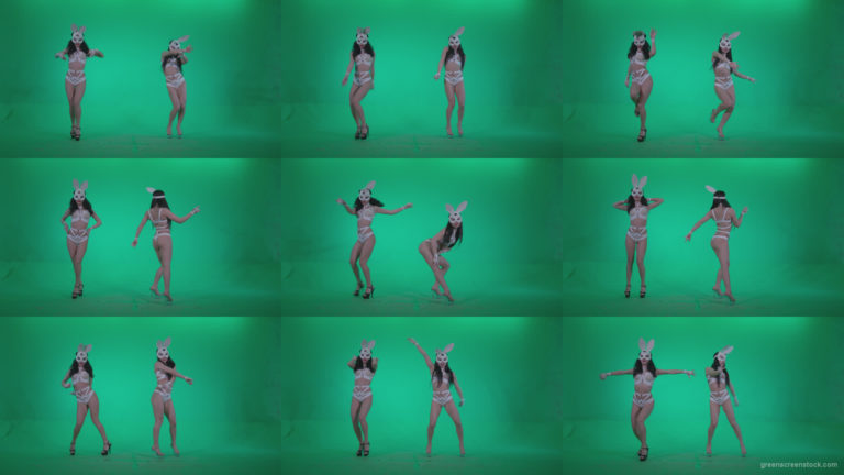 Go-go-Dancer-White-Rabbit-m1-Green-Screen-Video-Footage Green Screen Stock