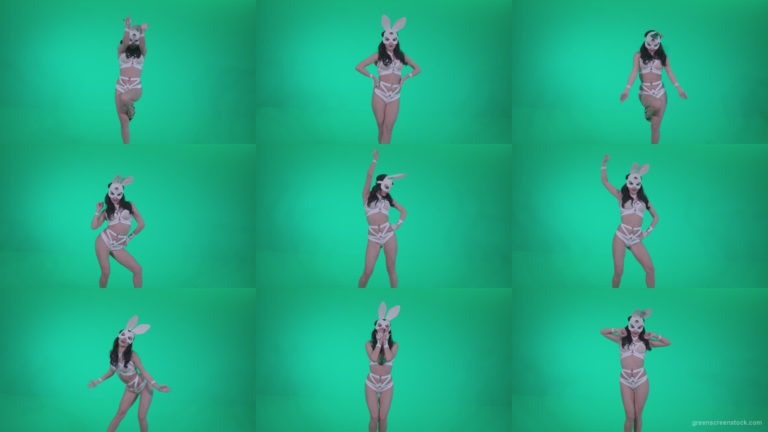 Go-go-Dancer-White-Rabbit-m10-Green-Screen-Video-Footage Green Screen Stock