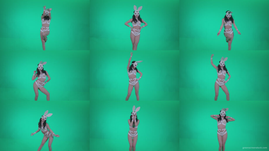 Go-go-Dancer-White-Rabbit-m10-Green-Screen-Video-Footage Green Screen Stock