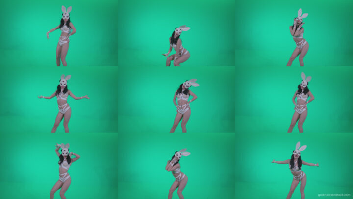 Go-go-Dancer-White-Rabbit-m11-Green-Screen-Video-Footage Green Screen Stock