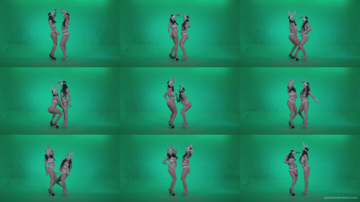 Go-go-Dancer-White-Rabbit-m3-Green-Screen-Video-Footage Green Screen Stock