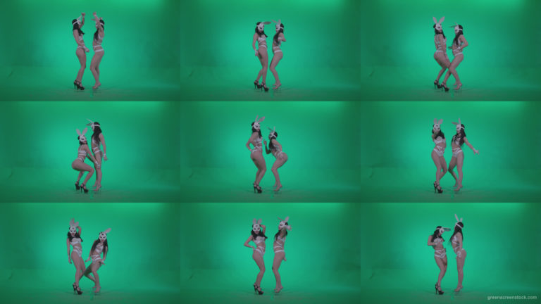 Go-go-Dancer-White-Rabbit-m3-Green-Screen-Video-Footage Green Screen Stock