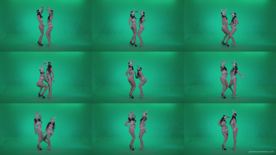 Go-go-Dancer-White-Rabbit-m3-Green-Screen-Video-Footage Green Screen Stock