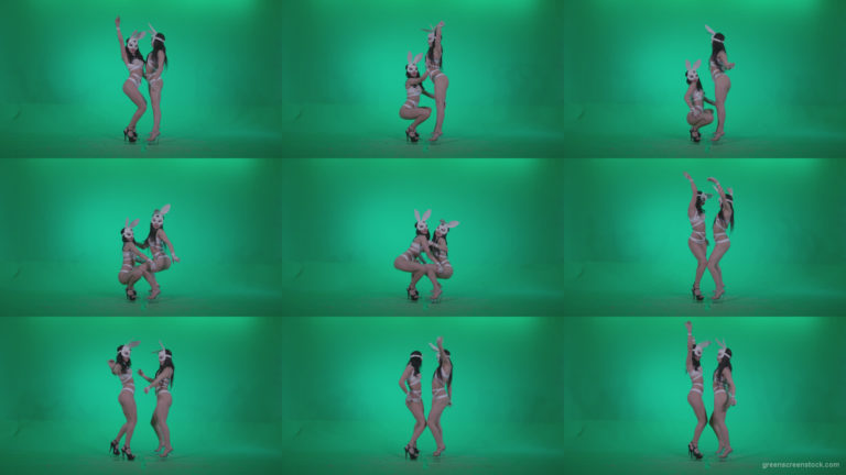 Go-go-Dancer-White-Rabbit-m4-Green-Screen-Video-Footage Green Screen Stock