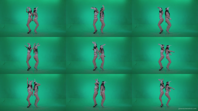 Go-go-Dancer-White-Rabbit-m5-Green-Screen-Video-Footage Green Screen Stock