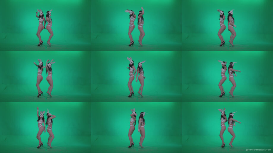 Go-go-Dancer-White-Rabbit-m5-Green-Screen-Video-Footage Green Screen Stock
