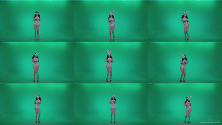 Go-go-Dancer-White-Rabbit-m7-Green-Screen-Video-Footage Green Screen Stock
