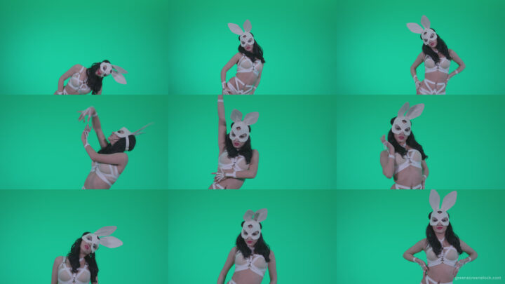 Go-go-Dancer-White-Rabbit-m8-Green-Screen-Video-Footage Green Screen Stock