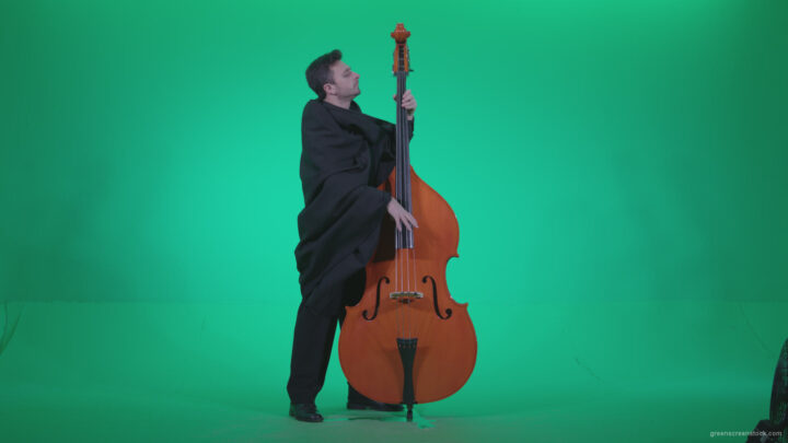 vj video background Gotic-Contrabass-Jazz-Performer-1_003