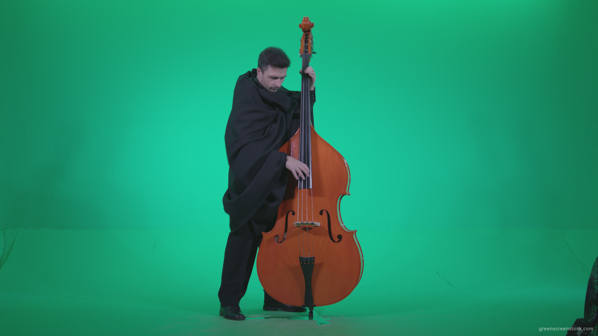 Gotic-Contrabass-Jazz-Performer-1_008 Green Screen Stock