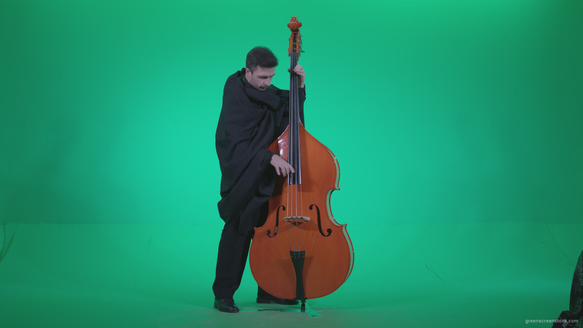 Gotic-Contrabass-Jazz-Performer-1_009 Green Screen Stock