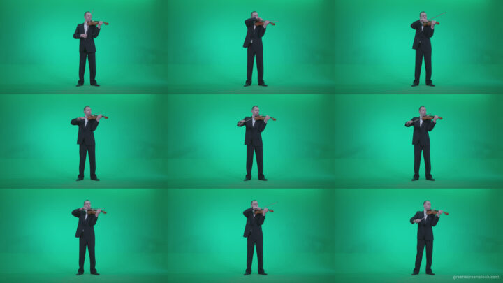Professional-Violin-player-man-z1 Green Screen Stock