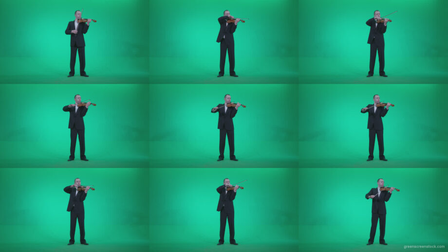 Professional-Violin-player-man-z1 Green Screen Stock