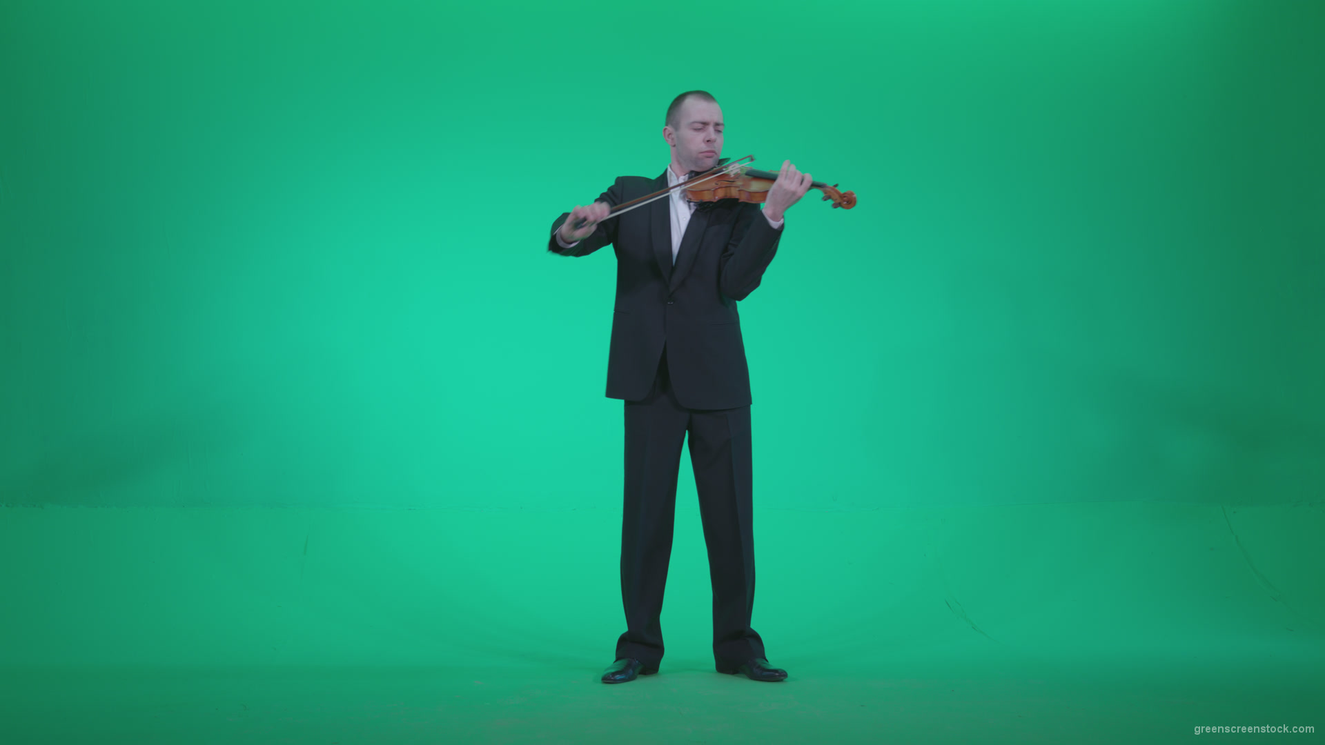 Professional-Violin-player-man-z1_005 Green Screen Stock