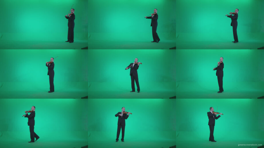 Professional-Violin-player-man-z2 Green Screen Stock