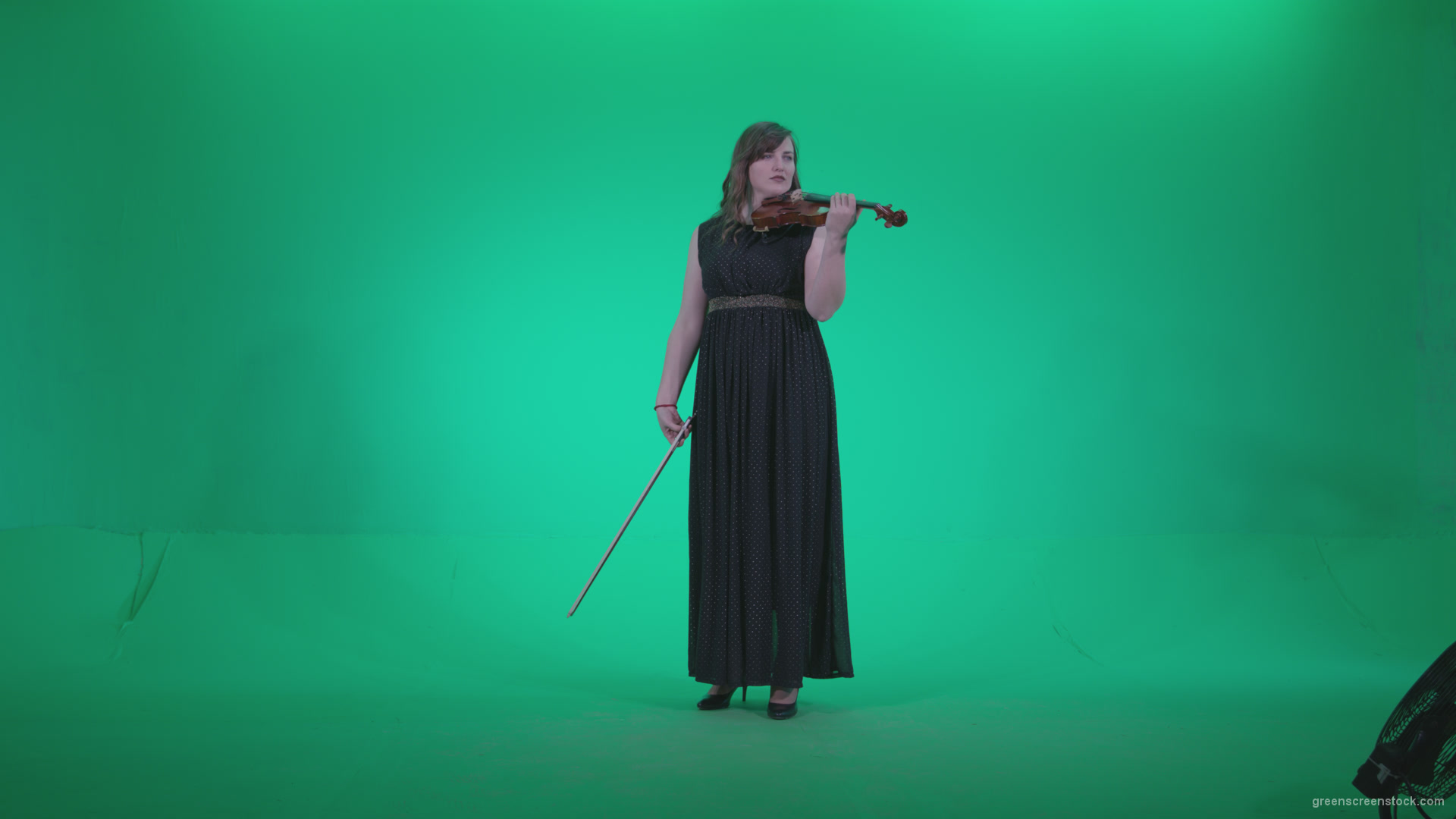 Professional-Violin-player-woman-z1_001 Green Screen Stock