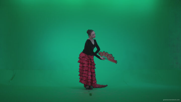 vj video background Traditional-Spanish-Flamenco-dancer-s1_003