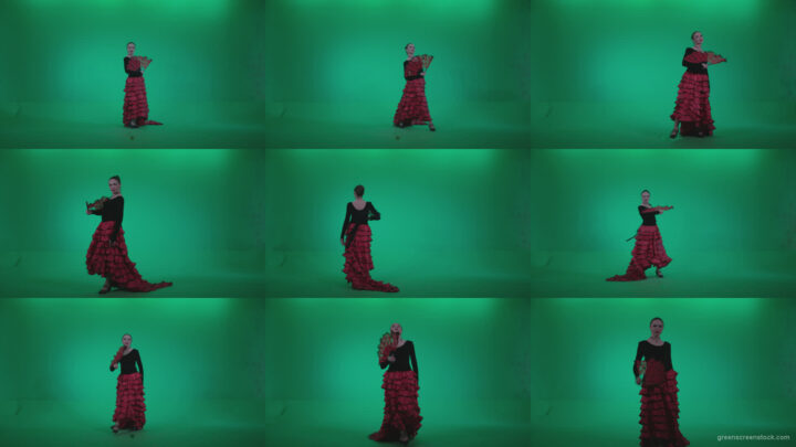 Traditional-Spanish-Flamenco-dancer-s2 Green Screen Stock