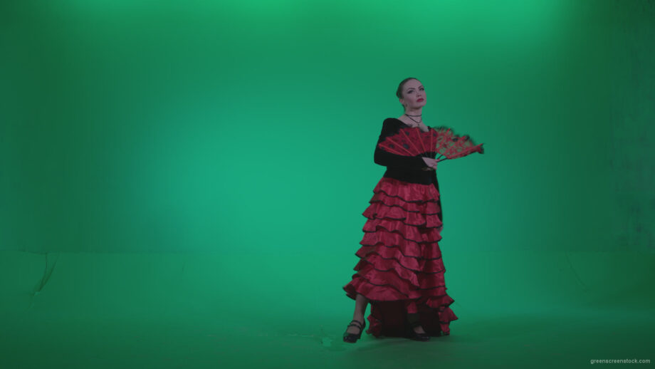 vj video background Traditional-Spanish-Flamenco-dancer-s2_003