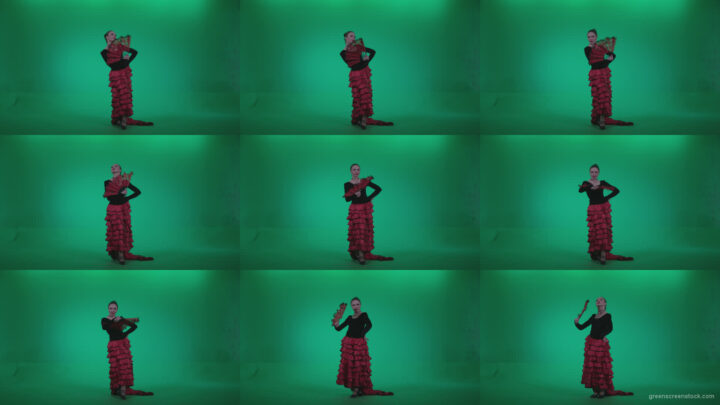 Traditional-Spanish-Flamenco-dancer-s3 Green Screen Stock