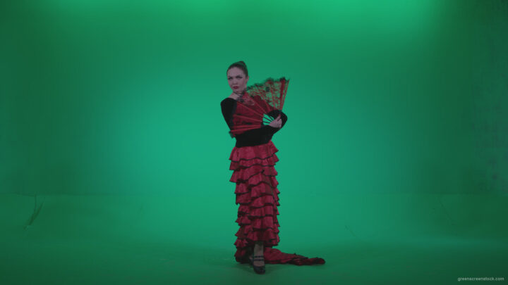 vj video background Traditional-Spanish-Flamenco-dancer-s3_003