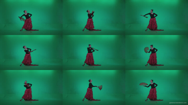 Traditional-Spanish-Flamenco-dancer-s4 Green Screen Stock