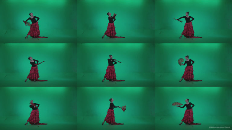 Traditional-Spanish-Flamenco-dancer-s4 Green Screen Stock