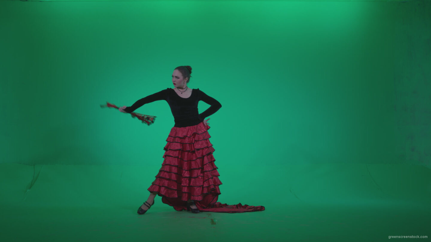 vj video background Traditional-Spanish-Flamenco-dancer-s4_003