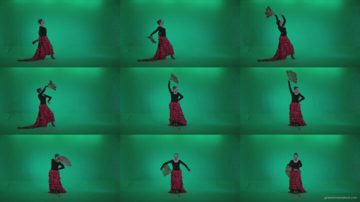 Traditional-Spanish-Flamenco-dancer-s5 Green Screen Stock