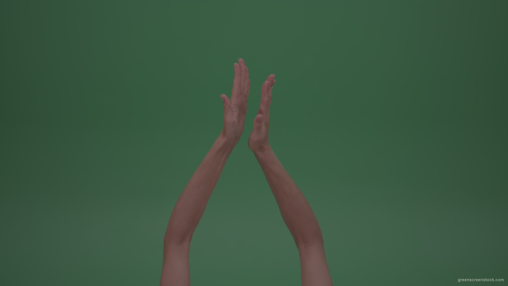 Rapidly-Clapping-Young-FemaleHands-Ovation-GreenScreenWall-ChromaKey-Background_004 Green Screen Stock