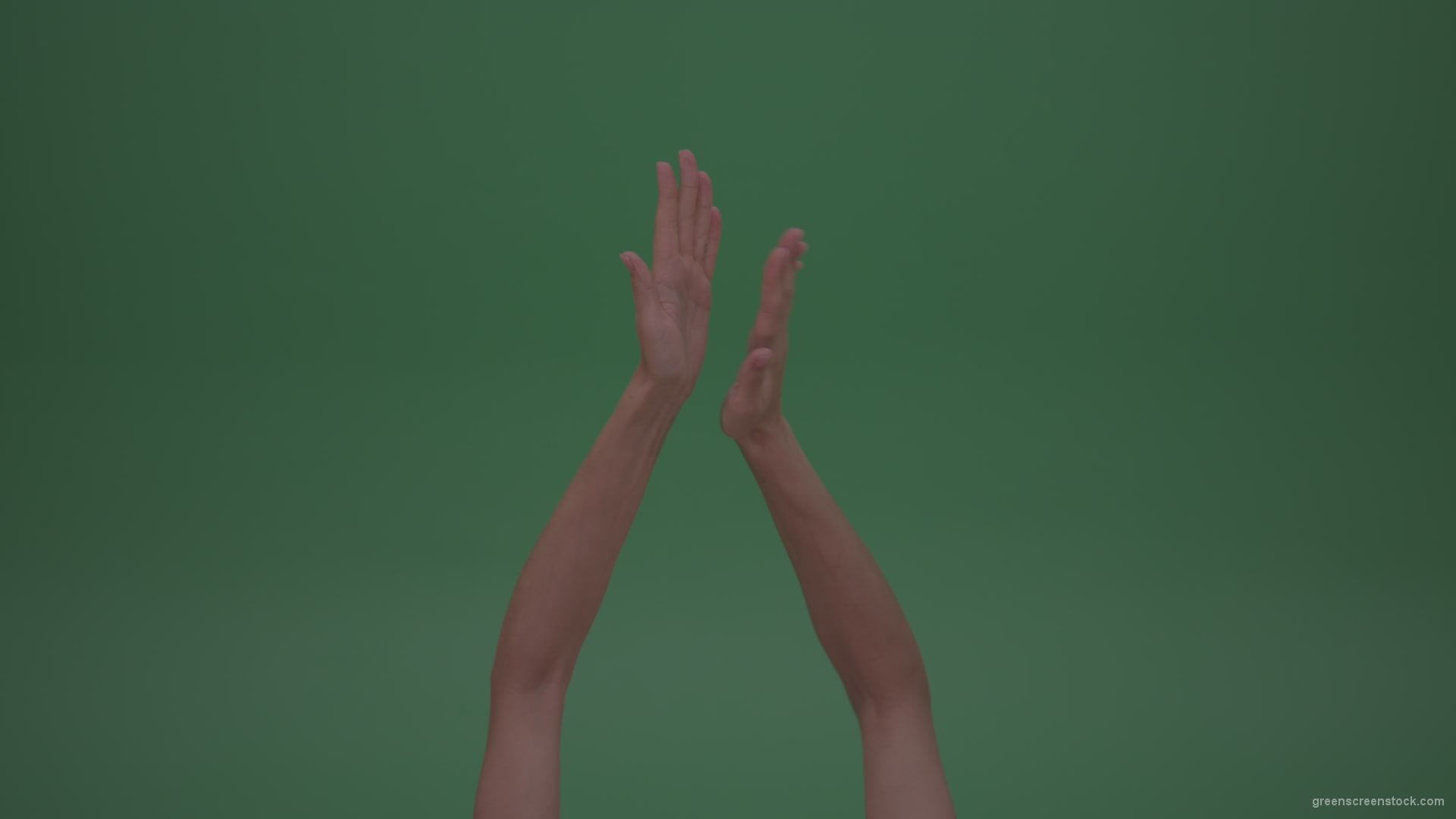 Rapidly-Clapping-Young-FemaleHands-Ovation-GreenScreenWall-ChromaKey-Background_005 Green Screen Stock