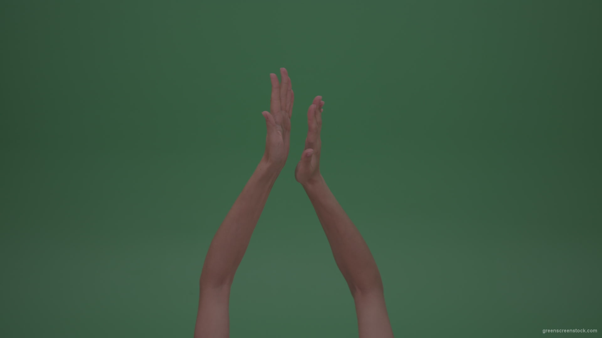 Rapidly-Clapping-Young-FemaleHands-Ovation-GreenScreenWall-ChromaKey-Background_007 Green Screen Stock