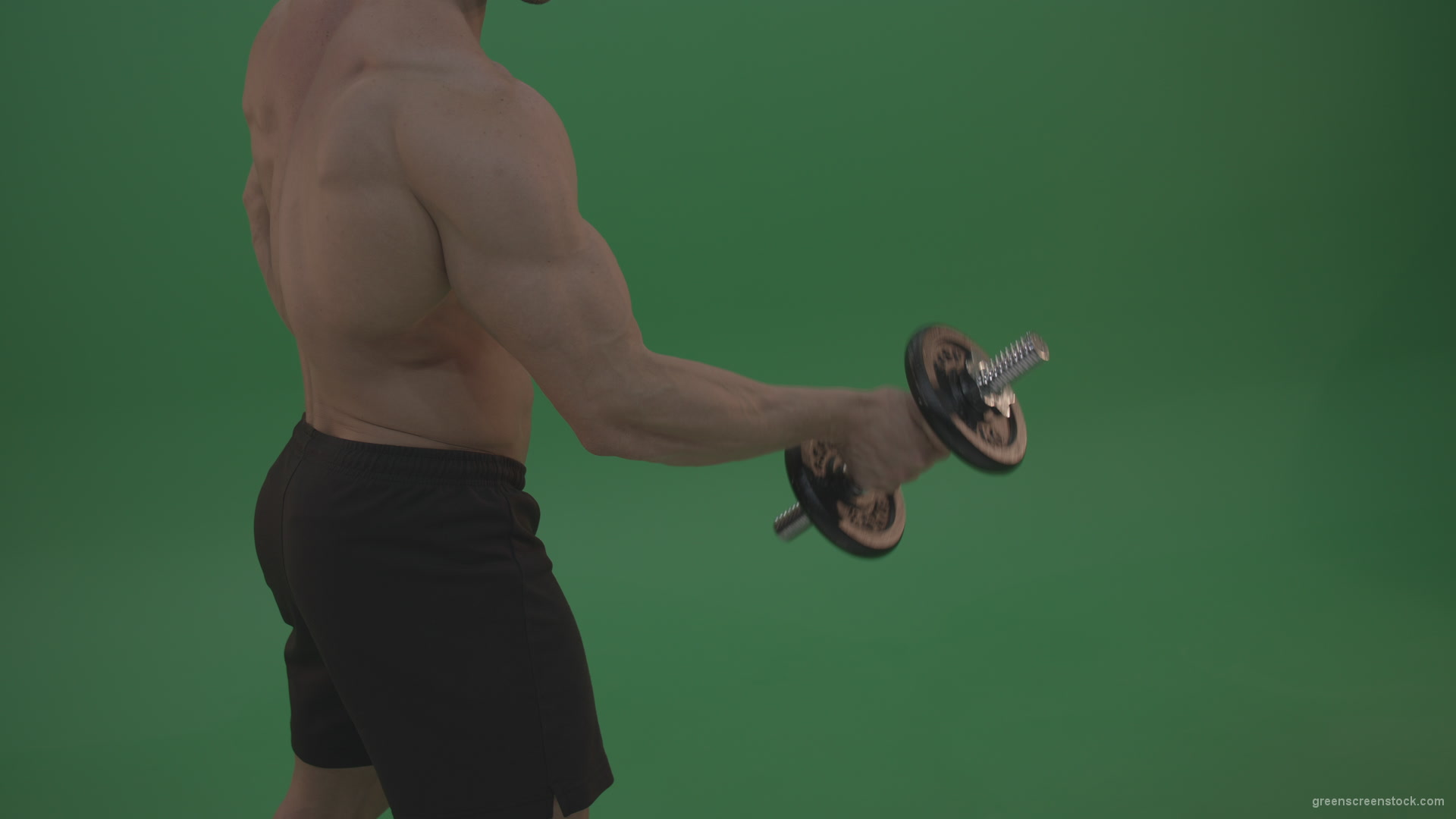 Young_Bodybuilder_Doing_Biceps_One_Hand_Excercise_With_Dumbbell_Showing_Great_Technique_On_Green_Screen_Wall_Background_006 Green Screen Stock