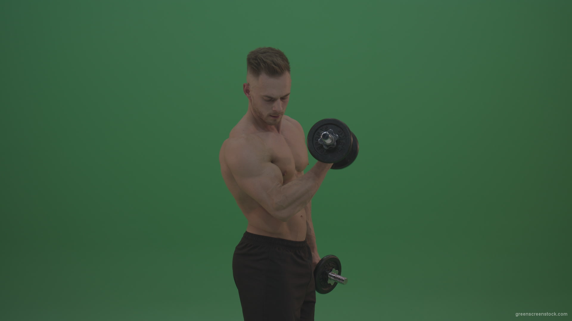 Young_Bodybuilder_Working_Out_Two_Handed_Dumbbell_Push_Ups_Excercise_On_Green_Screen_Wall_Background_002 Green Screen Stock