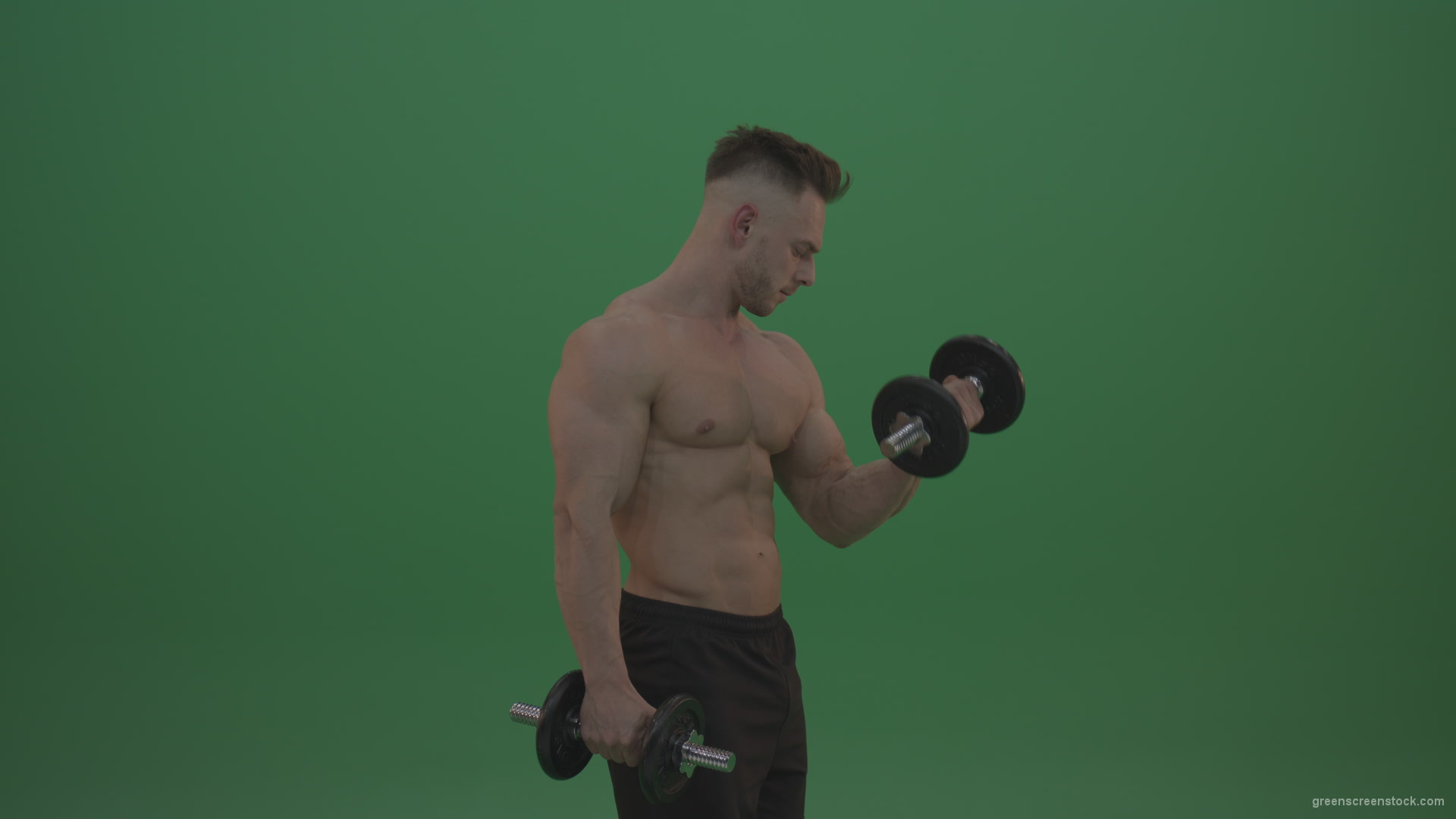 Young_Bodybuilder_Working_Out_Two_Handed_Dumbbell_Push_Ups_Excercise_On_Green_Screen_Wall_Background_004 Green Screen Stock