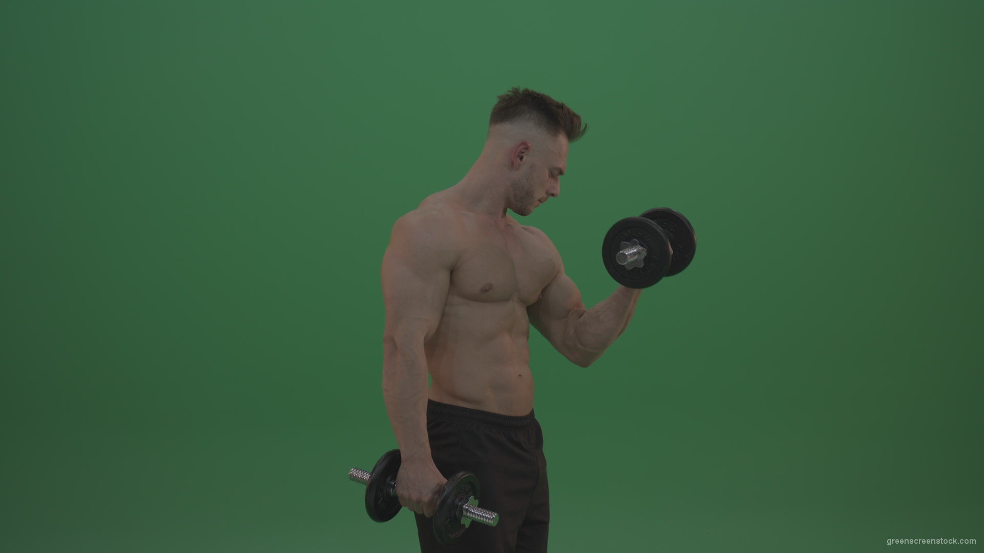 Young_Bodybuilder_Working_Out_Two_Handed_Dumbbell_Push_Ups_Excercise_On_Green_Screen_Wall_Background_008 Green Screen Stock
