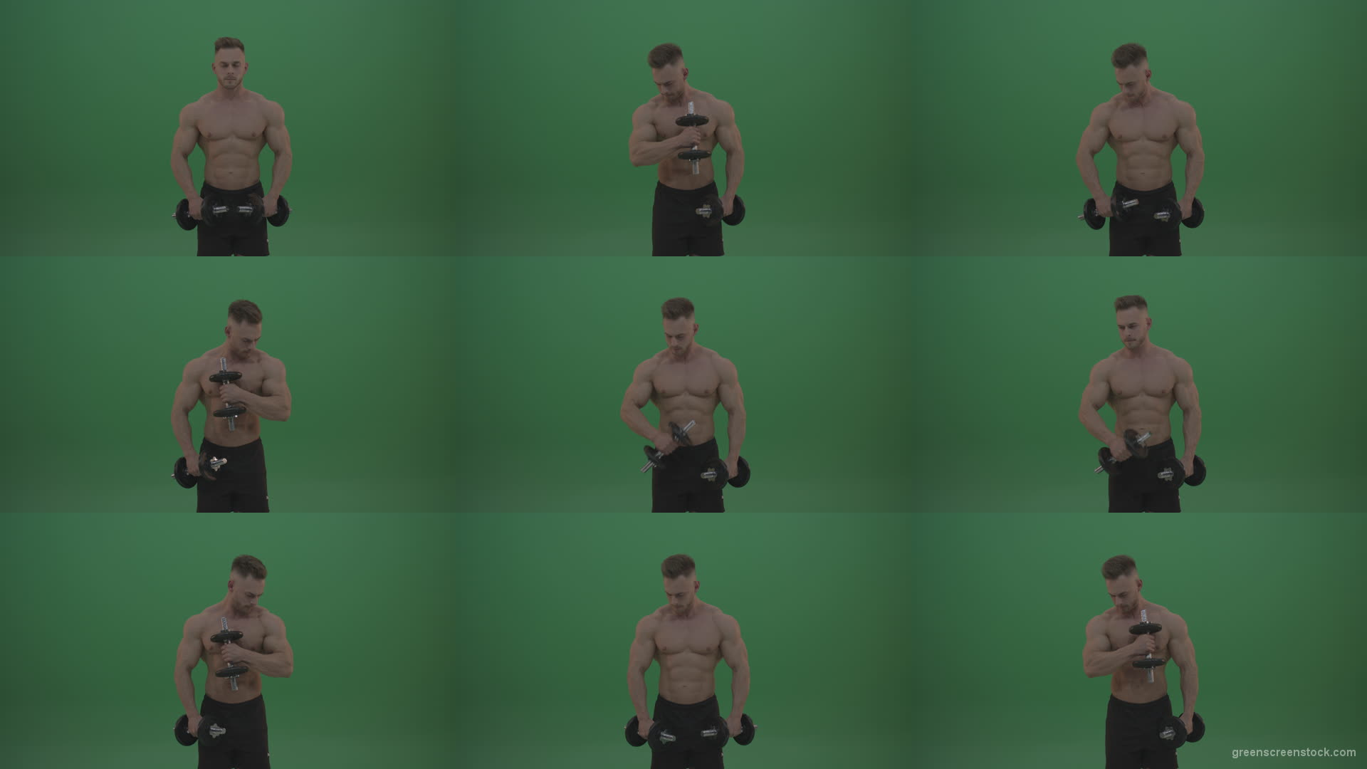 Young_Bodybuilder_Working_Out_With_Two_Handed_Dumbbell_Biceps_Exercises_On_Green_Screen_Wall_Background Green Screen Stock